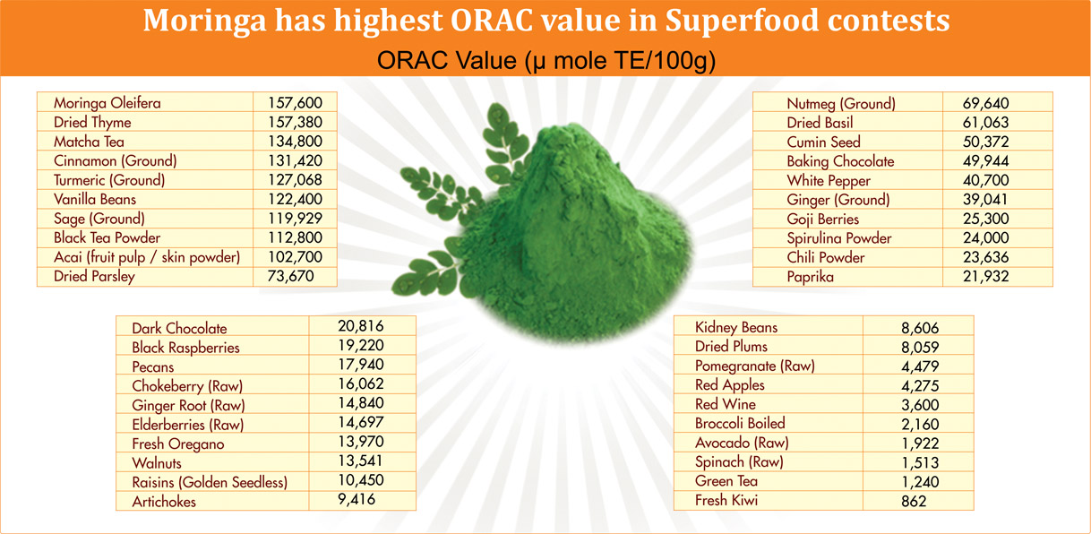 moringa Powder